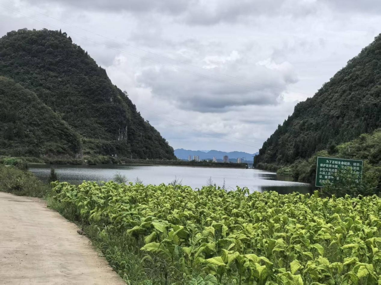 检护水源 水清民安